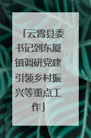 云霄县委书记到东厦镇调研党建引领乡村振兴等重点工作