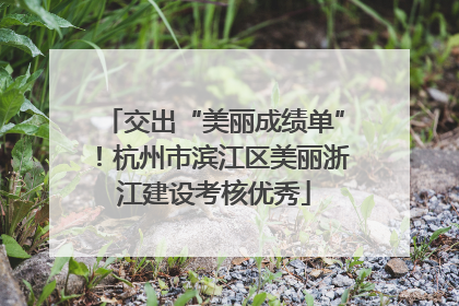 交出“美丽成绩单”！杭州市滨江区美丽浙江建设考核优秀