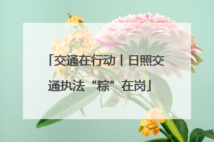 交通在行动丨日照交通执法“粽”在岗