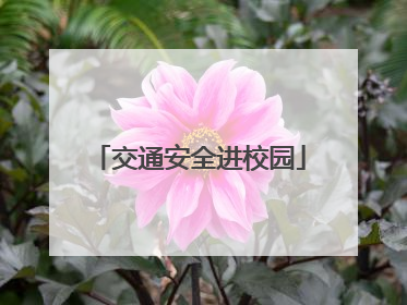 交通安全进校园