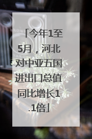 今年1至5月，河北对中亚五国进出口总值同比增长1.1倍