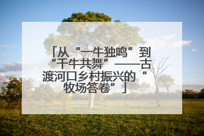 从“一牛独鸣”到“千牛共舞”——古渡河口乡村振兴的“牧场答卷”