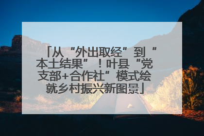 从“外出取经”到“本土结果”！叶县“党支部+合作社”模式绘就乡村振兴新图景