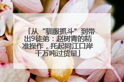 从“驯服抓斗”到带出9徒弟：赵树青的精准操作，托起同江口岸千万吨过货量