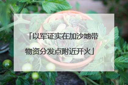 以军证实在加沙地带物资分发点附近开火