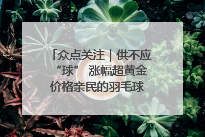 众点关注｜供不应“球” 涨幅超黄金 价格亲民的羽毛球为何身价飞涨？