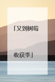 又到树莓收获季