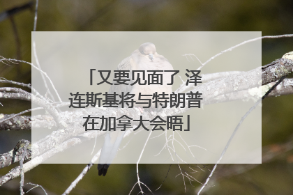 又要见面了 泽连斯基将与特朗普在加拿大会晤