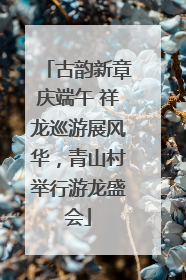 古韵新章庆端午 祥龙巡游展风华，青山村举行游龙盛会