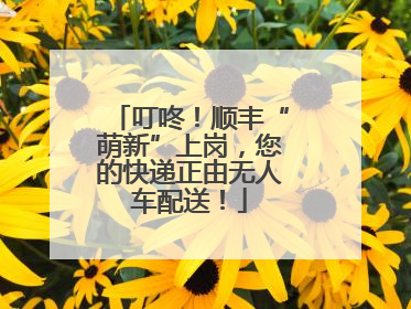 叮咚！顺丰“萌新”上岗，您的快递正由无人车配送！