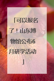 可以报名了！山东博物馆公布6月研学活动