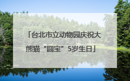 台北市立动物园庆祝大熊猫“圆宝”5岁生日