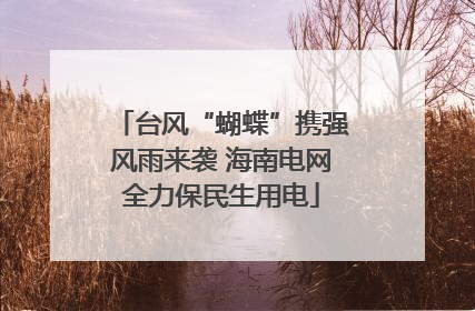 台风“蝴蝶”携强风雨来袭 海南电网全力保民生用电