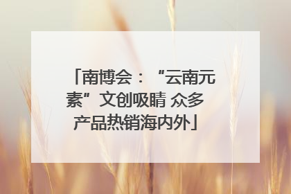 南博会：“云南元素”文创吸睛 众多产品热销海内外