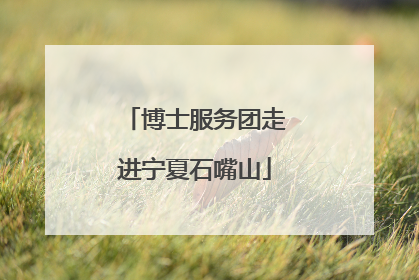 博士服务团走进宁夏石嘴山
