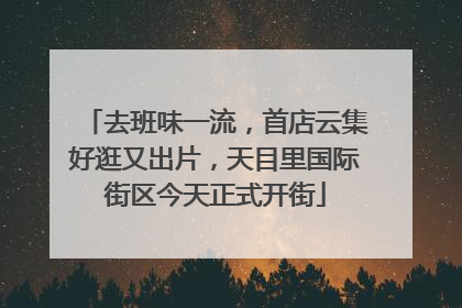 去班味一流，首店云集好逛又出片，天目里国际街区今天正式开街