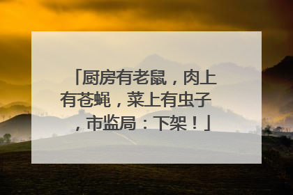 厨房有老鼠，肉上有苍蝇，菜上有虫子，市监局：下架！
