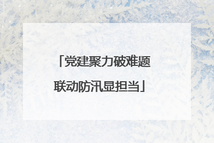 党建聚力破难题 联动防汛显担当