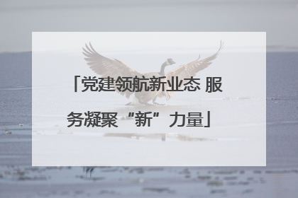 党建领航新业态 服务凝聚“新”力量