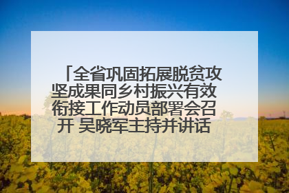 全省巩固拓展脱贫攻坚成果同乡村振兴有效衔接工作动员部署会召开 吴晓军主持并讲话 罗东川作安排部署