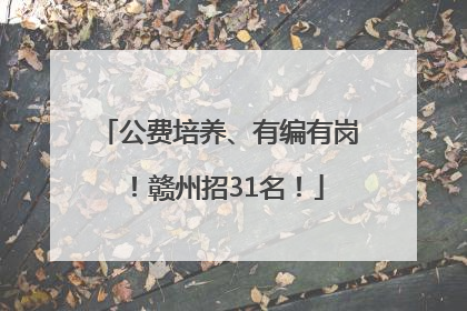 公费培养、有编有岗！赣州招31名！