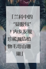 兰科中的“显眼包”！内乡发现珍稀濒危植物毛萼山珊瑚