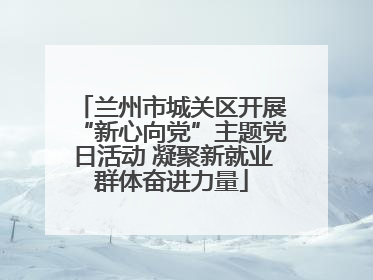 兰州市城关区开展“新心向党”主题党日活动 凝聚新就业群体奋进力量