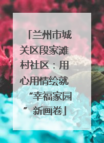 兰州市城关区段家滩村社区：用心用情绘就“幸福家园”新画卷