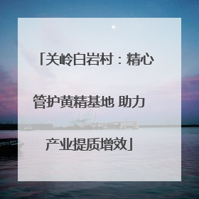 关岭白岩村：精心管护黄精基地 助力产业提质增效