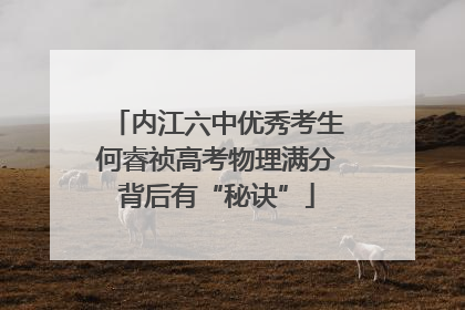 内江六中优秀考生何睿祯高考物理满分背后有“秘诀”