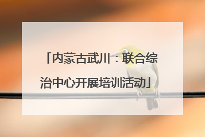 内蒙古武川：联合综治中心开展培训活动