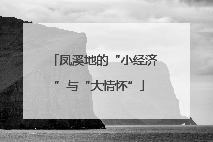 凤溪地的“小经济”与“大情怀”
