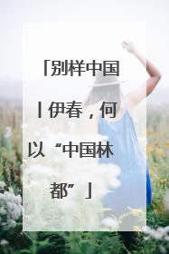 别样中国丨伊春，何以“中国林都”