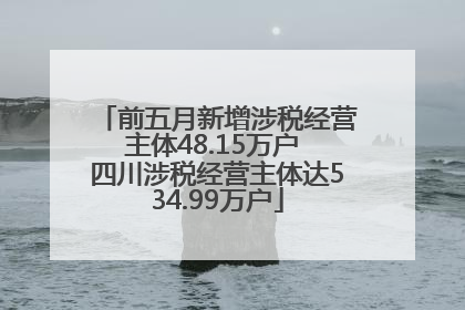 前五月新增涉税经营主体48.15万户 四川涉税经营主体达534.99万户