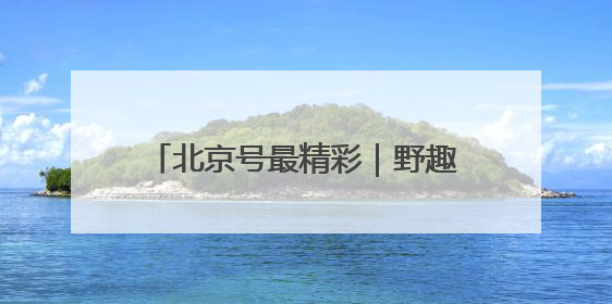 北京号最精彩｜野趣盎然！京城这个生态桥连通两大网红公园