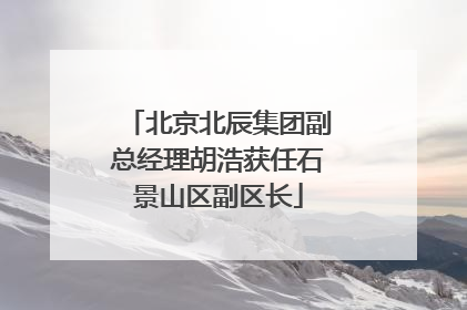 北京北辰集团副总经理胡浩获任石景山区副区长