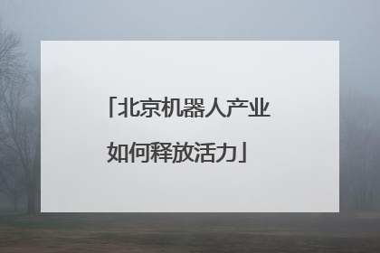 北京机器人产业如何释放活力