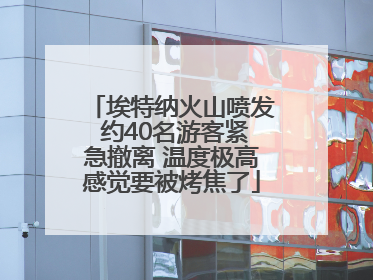 埃特纳火山喷发 约40名游客紧急撤离 温度极高感觉要被烤焦了