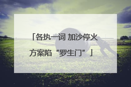 各执一词 加沙停火方案陷“罗生门”
