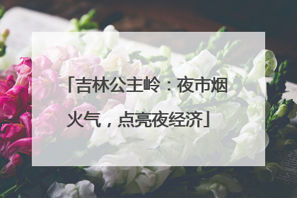 吉林公主岭：夜市烟火气，点亮夜经济