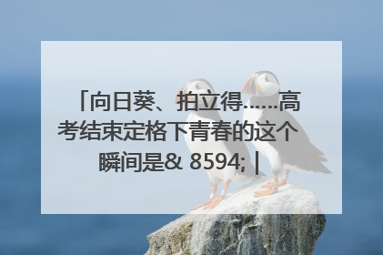 向日葵、拍立得……高考结束定格下青春的这个瞬间是& 8594;｜2025四川高考