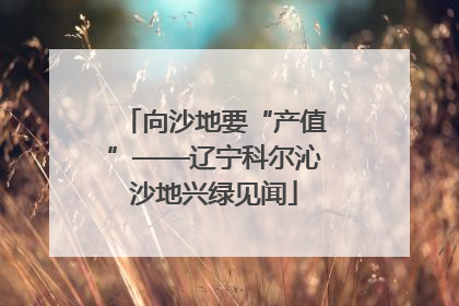 向沙地要“产值”——辽宁科尔沁沙地兴绿见闻