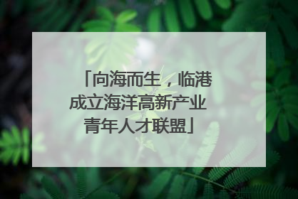 向海而生，临港成立海洋高新产业青年人才联盟