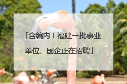 含编内！福建一批事业单位、国企正在招聘