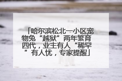 哈尔滨松北一小区宠物兔“越狱”两年繁育四代，业主有人“稀罕”有人忧，专家提醒