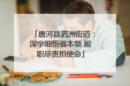唐河县泗洲街道：深学细悟强本领 履职尽责担使命