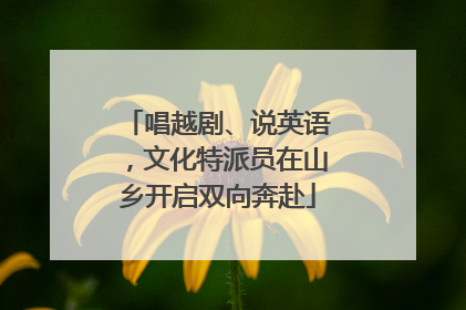 唱越剧、说英语，文化特派员在山乡开启双向奔赴