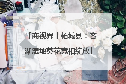 商视界丨柘城县：容湖湿地葵花竞相绽放