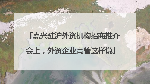 嘉兴驻沪外资机构招商推介会上，外资企业高管这样说