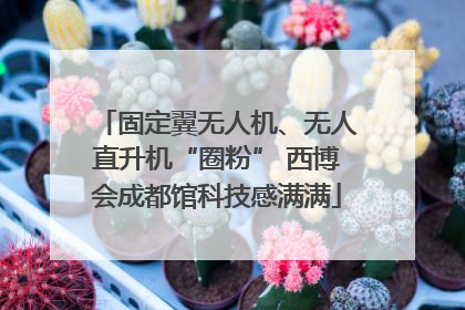 固定翼无人机、无人直升机“圈粉” 西博会成都馆科技感满满